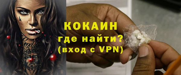 твердый Дмитровск