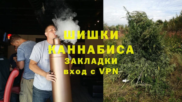 твердый Дмитровск