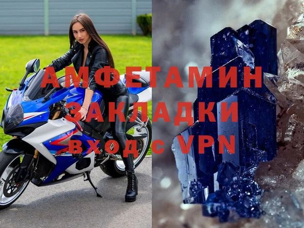 твердый Дмитровск